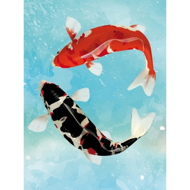 KOI