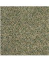 Spring Evergreen  59107