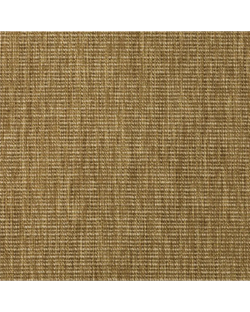 Alpatio Pro 982 Viana