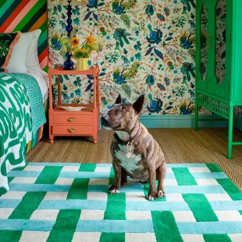 IMG SOPHIE ROBINSON X HARLEQUIN